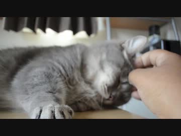 おまえらの右手を前に