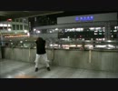 【スタダス】オーディエンス踊ってみた【しーまんと、少しけんにい】