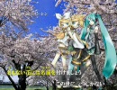 【初音ミク 鏡音リン・レン】桜　コブクロ　歌詞字幕