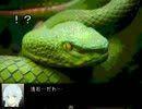 【馬鹿騒ぎ実況】ふざけた奴らがDear Familiesをプレイpart2【Ccc】