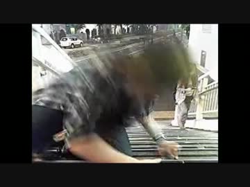 シケキノコが転がってみた