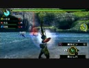 【MHP3】いっとく番外編【まったり実況】その14
