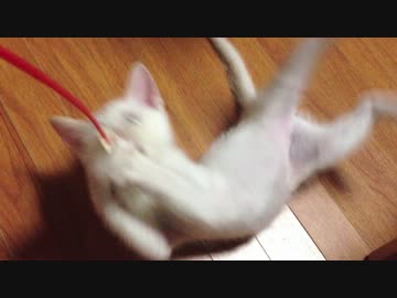縮まる距離