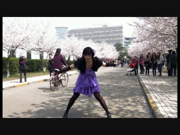 ルカルカ★ナイトフィーバーを踊ってみた【ゆきれい】