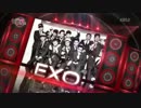 EXO-Wolf@Korea-China Friendship Concert【130703】
