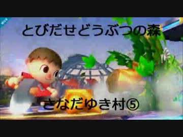 とびだせどうぶつの森 さなだゆき村⑤