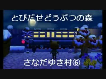とびだせどうぶつの森　さなだゆき村⑥