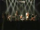 Mad Caddies - Monkeys （LIVE）