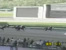 第39回早池峰賞 スーパーワシントン