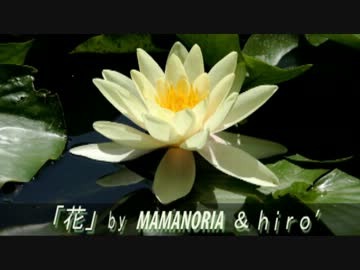 【MAMANORIA × hiro’】「花」【オリジナル曲】