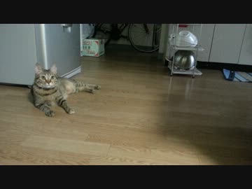 新旧おもちゃ対決
