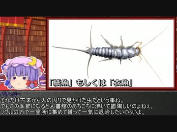 ゆっくり霊夢とやる夫が学ぶ 昆虫大百科 part5