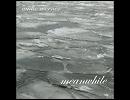 Meanwhile / Audio Werner