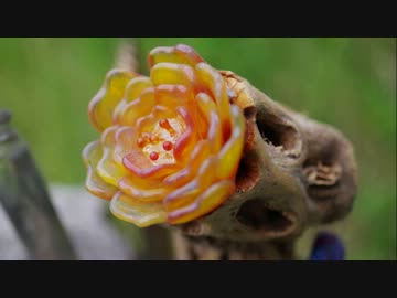 ガラスアートコレクション2【七夕記念】