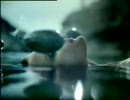 Rochasの香水「EAU DE ROCHAS」