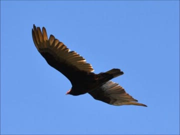 MDに入ってる９４年の曲メドレー