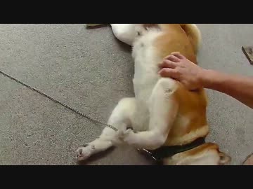 あつーーー
