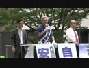 自民党　西田昌司候補 参院選での演説 in 京都市役所前