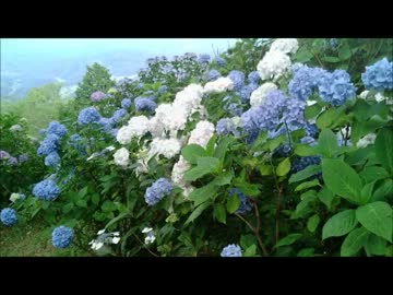 秩父へ行ってみた