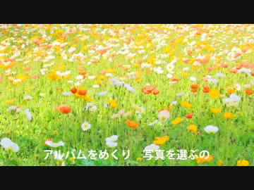 【 Luv Undulation+ 】　ひとつ ☆ きらり