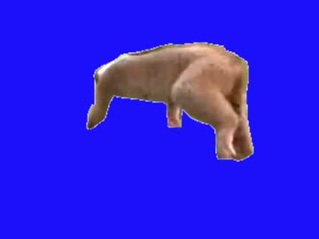 腰が引けた歩行をする淫夢くんＢＢ＋使用例