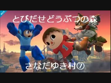 とびだせどうぶつの森　さなだゆき村⑦