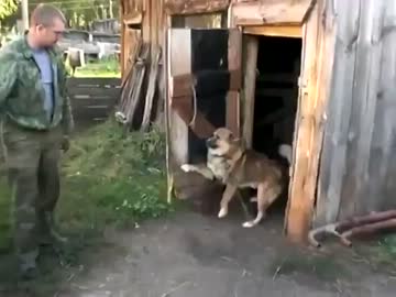 お風呂が嫌すぎて自分で扉を閉める犬