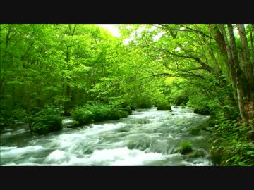 渓流の川流れ
