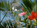 華夏-ＫＡＧＥ-