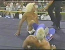 WCW      スティング vs リック・フレアー　【プロレス】　2/2