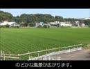 【猛暑編】３４歳からミニ四駆復帰しました