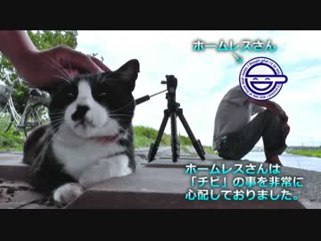 魚を喰い飽きた猫達に待望の肉をあげに行ったら・・・