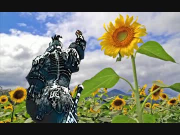 【ダークソウル】白ファンだったりホストだったり25【ゆっくり実況】