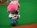 【ドアラ】　２００６年６月１７日　【パオロン】