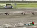 2013年6月26日門別競馬6R ＪＲＡ認定ウィナーズチャレンジ２