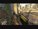 PC版【COD:BO2】 TDM 005