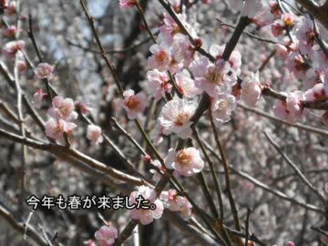 東京23区サイクリング15杉並区&amp;16豊島区