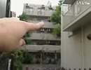20130712-1 NER=ネル （仮） 03