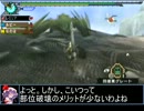 【東方】誘われてユクモ村　ナルガクルガ亜種戦１【ＭＨ】