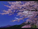 桜BlueSky DJ Utaemon