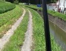ちょっと釣りに2.mp4