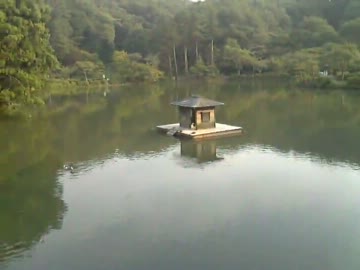 町田 薬師池公園   1 　　2013/7/12