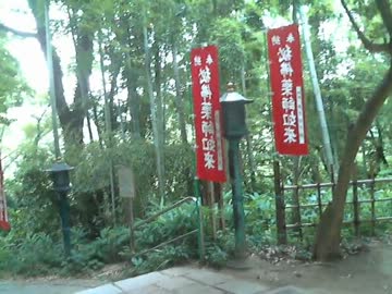 町田（東京） 薬師池公園 2 （終） 　　2013/7/12