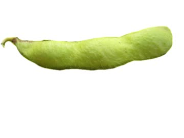 トータス枝豆