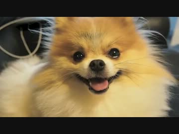ぐりちぇる動画＊15＊おててマッサージ気持ち良いの♥