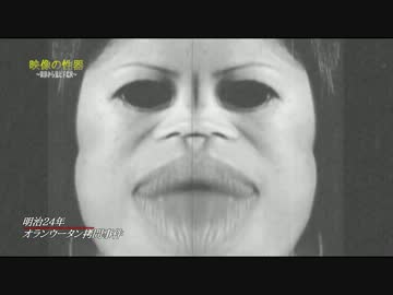 映像の性器　世界から見た下北沢