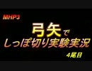 MHP3　弓矢でしっぽ切り実験実況　４尾目