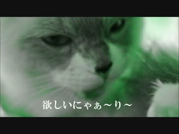 ラグドール時定８ヶ月がデビュー曲？