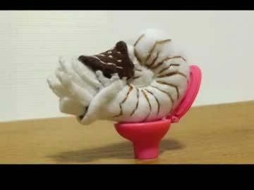 オウムガイのぬいぐるみを作ってみた