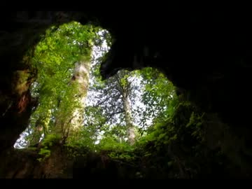 2010年ﾊﾞｲｸの旅 Part.35　【屋久島篇】